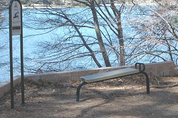 ftbodycurl.jpg (39525 bytes)